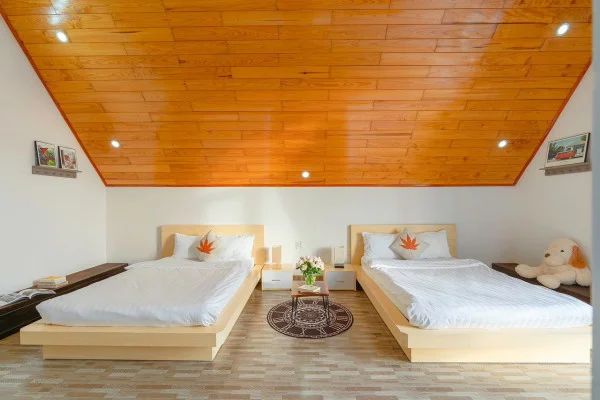 Ảnh Viva ĐL29 - 12