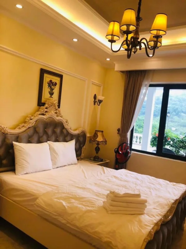 Ảnh Viva HB24 - 14