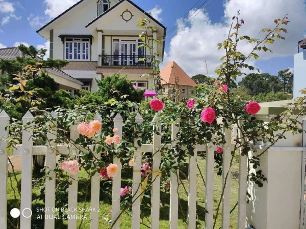 Ảnh Bảo Hân 3 - 17