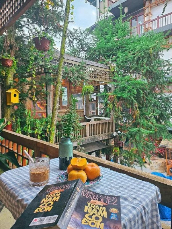 Ảnh Viva Homestay MC 03 - 14