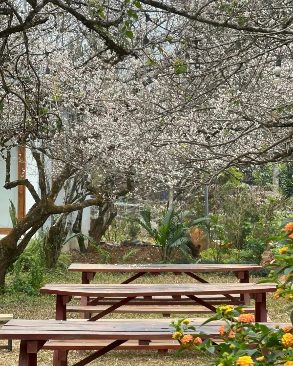 Ảnh Viva Homestay MC 13 - 20