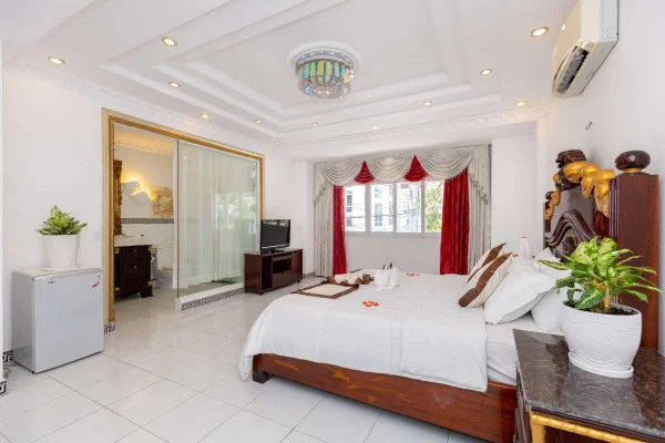 Ảnh Viva VT191 - 47