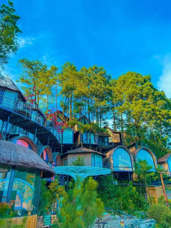 Ảnh Viva Homestay T10