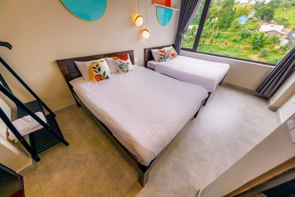 Ảnh Viva ĐL45 - 18