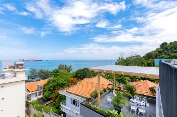 Ảnh Viva VT39 - 29