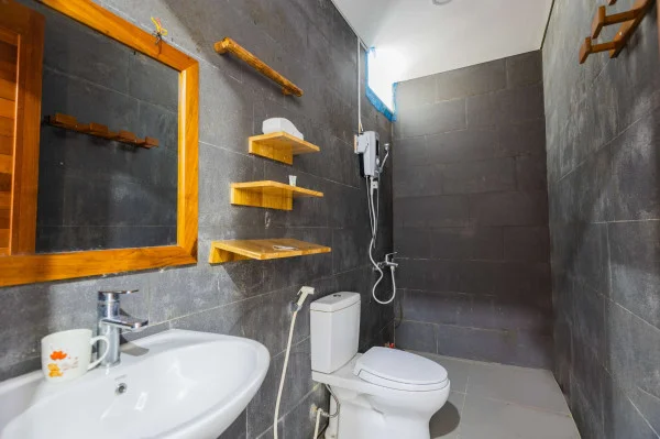 Ảnh Viva VT65 - 18