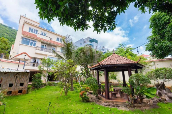 Ảnh Viva VT51 - 36