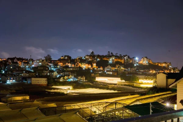 Ảnh Viva ĐL31 - 11