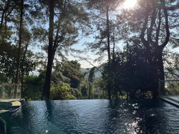 Ảnh Viva TĐ03 - 11