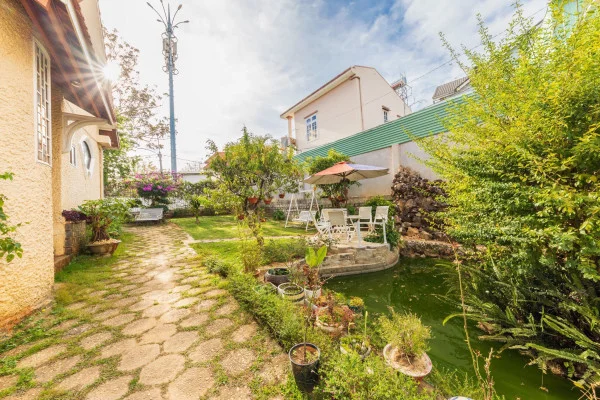 Ảnh Viva ĐL12 - 21