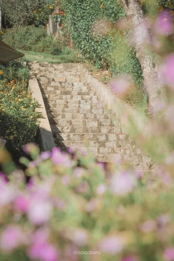 Ảnh Biệt Thự Trắng - 13