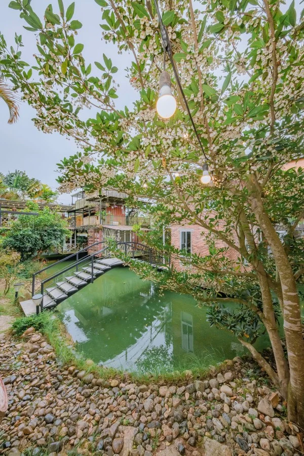 Ảnh Viva Homestay ĐL 12