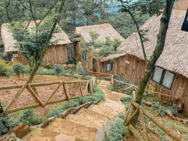 Ảnh Viva Homestay T13 - 8