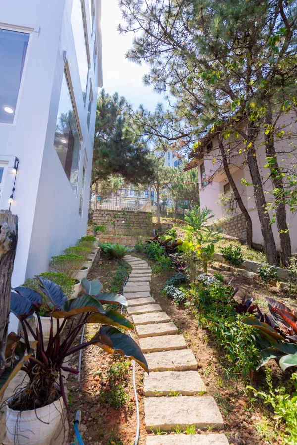 Ảnh Viva ĐL40 - 43