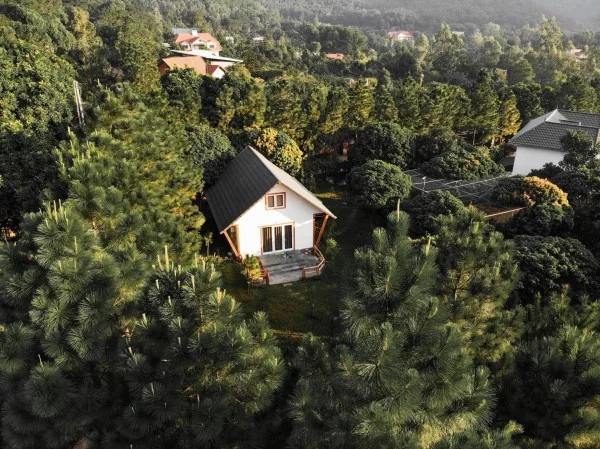 Ảnh Viva Homestay H6