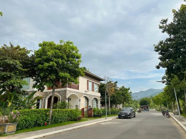 Ảnh Viva HB05 - 24