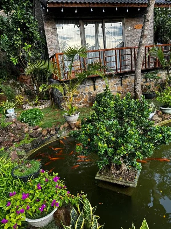 Ảnh Viva Homestay MC 05 - 8