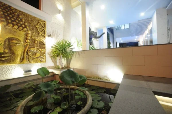 Ảnh Viva NT20 - 12