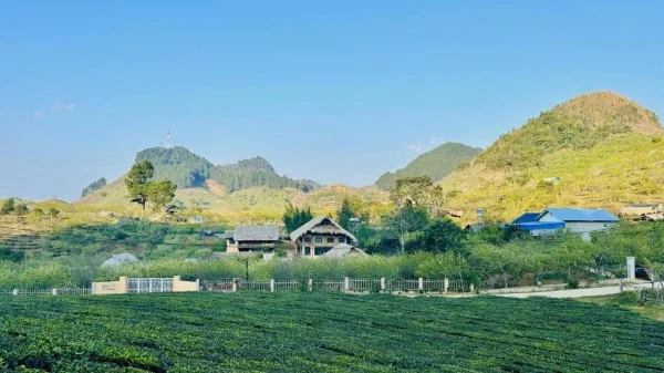 Ảnh Viva Homestay MC 08 - 8