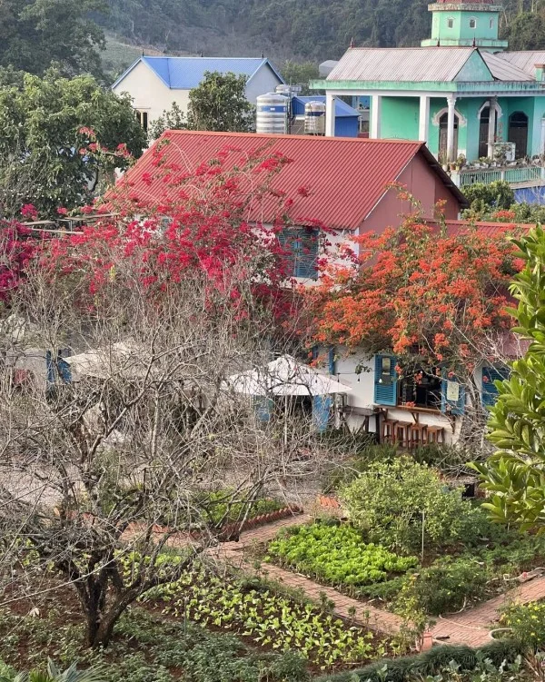 Ảnh Viva Homestay MC 13 - 19