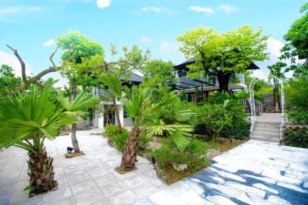 Ảnh Viva HB19 - 12