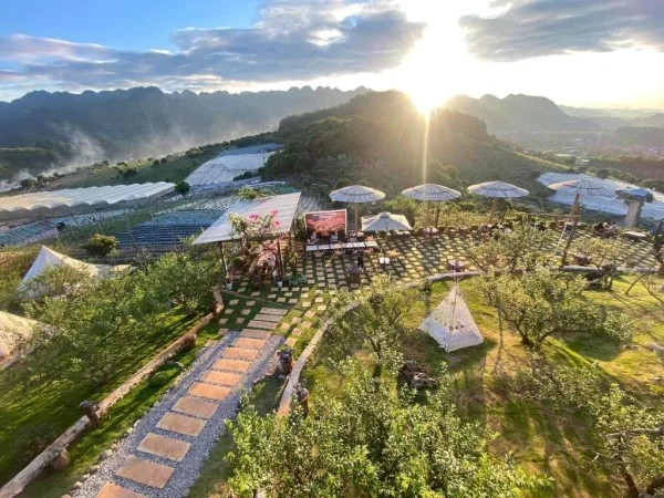 Ảnh Viva Homestay MC 09 - 8