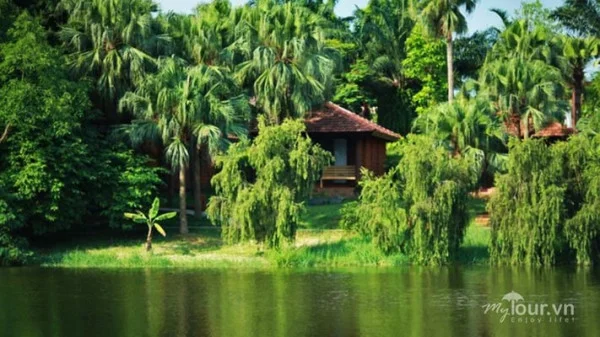 Ảnh Thảo viên resort sơn tây - 14