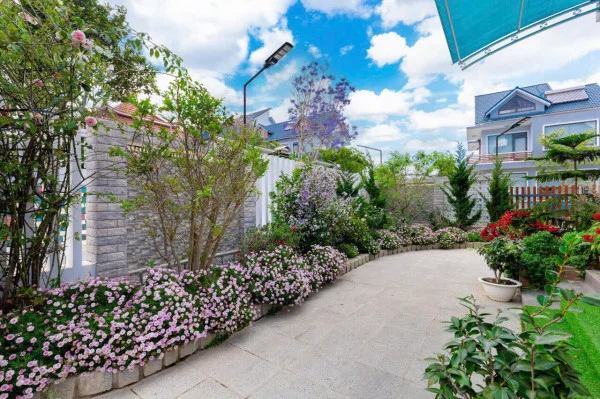 Ảnh Viva ĐL08 - 25