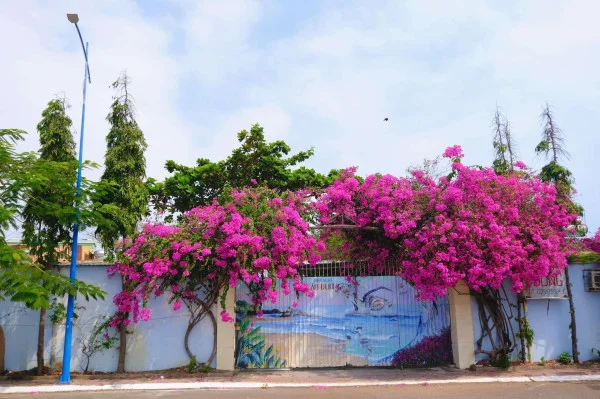 Ảnh D4 Hoàng Trung Thông - 35