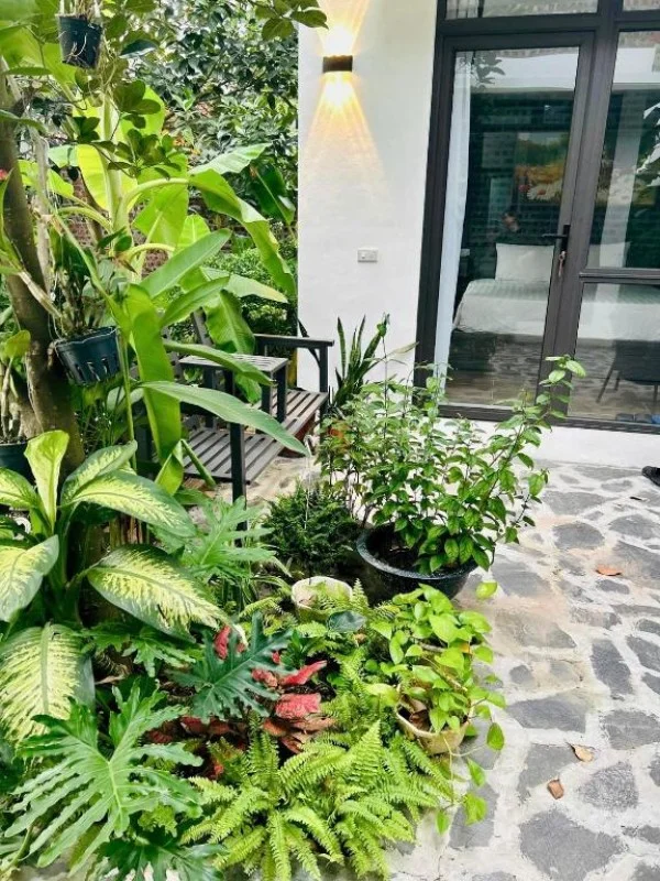 Ảnh Viva Homestay N03 - 18