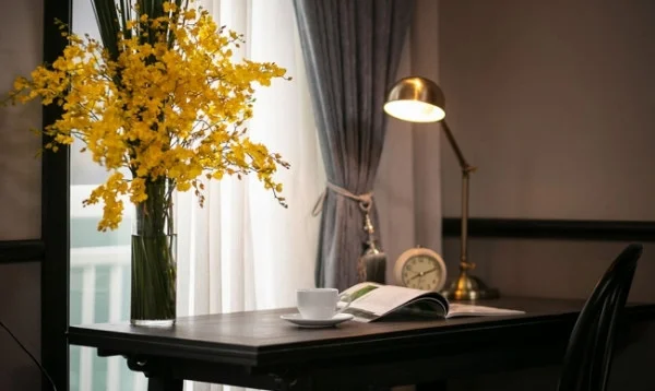 Ảnh Du Thuyền Verdure Lotus - 20