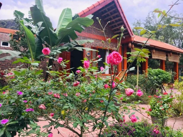 Ảnh Viva Homestay N13 - 11