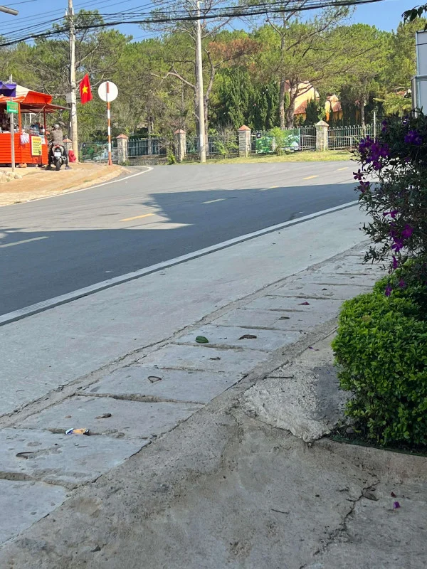 Ảnh Viva ĐL37 - 8