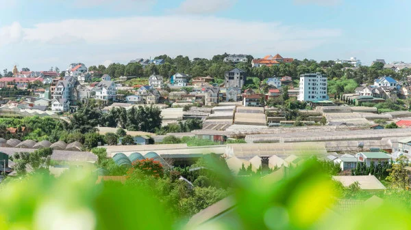 Ảnh Nhím Villa - 25