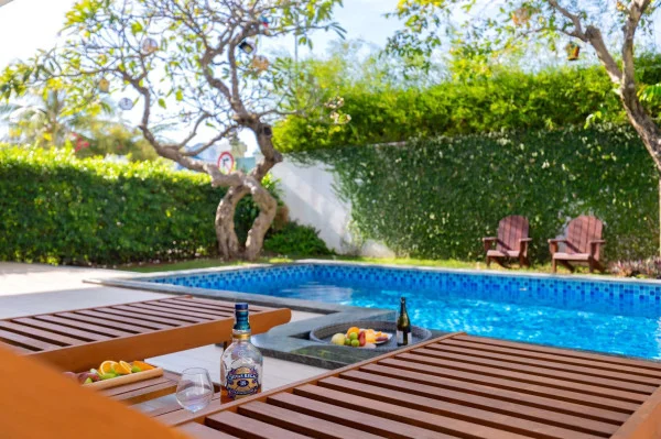 Ảnh Viva VT96 - 11