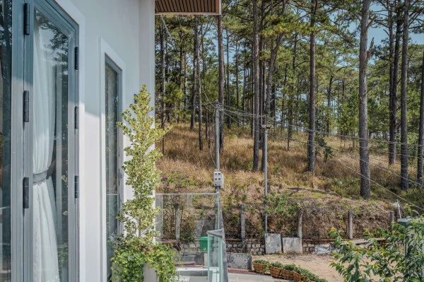 Ảnh Viva ĐL25 - 12