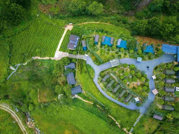 Ảnh Viva Homestay MC 01 - 12