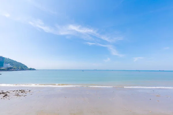 Ảnh Viva VT92 - 33