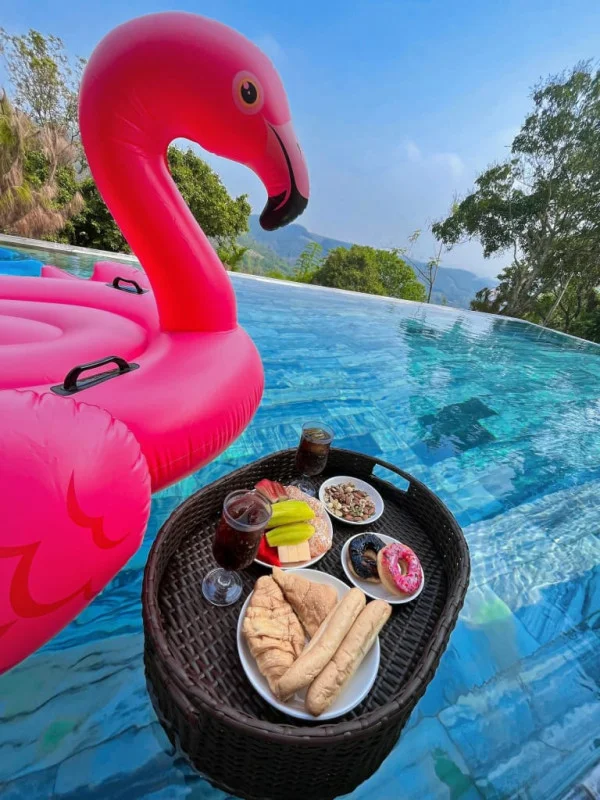 Ảnh Viva HB22 - 13