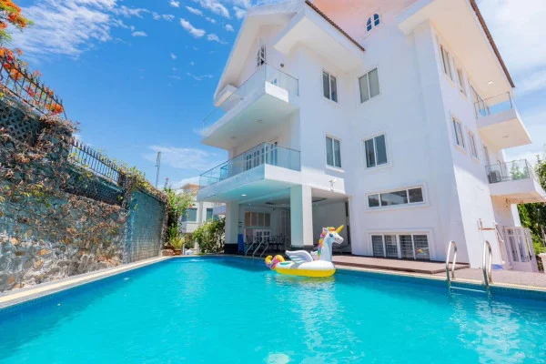 Ảnh Viva VT62 - 37