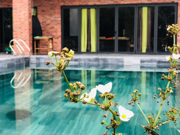 Ảnh Viva TĐ34 - 20