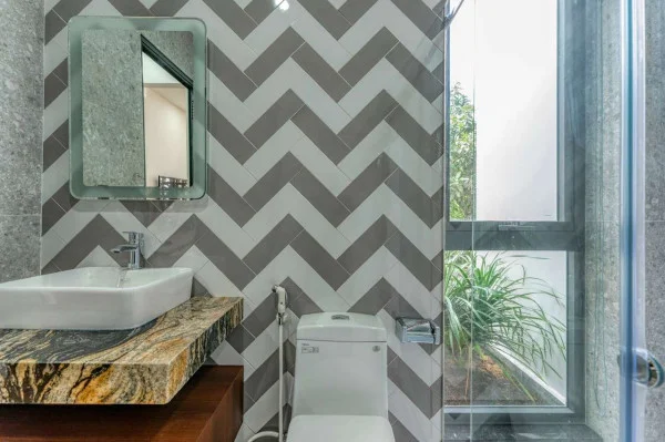 Ảnh Viva VT61 - 20