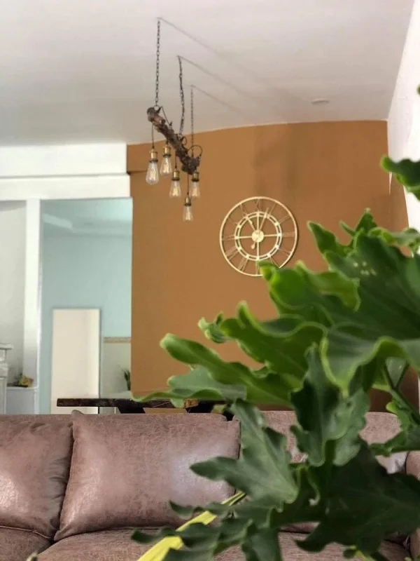 Ảnh Viva ĐL49 - 8