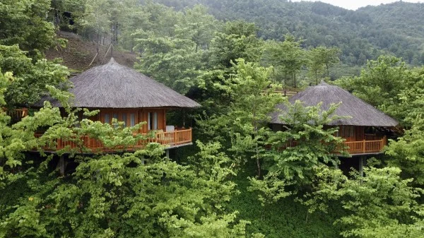 Ảnh Viva Homestay T4