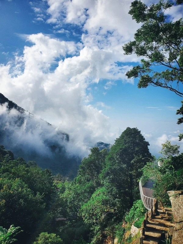 Ảnh Viva Homestay T1 - 12