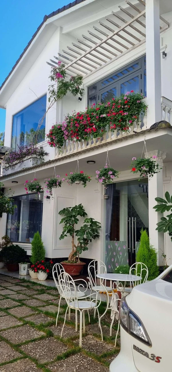 Ảnh Cẩm Tú Cầu 1 - 17