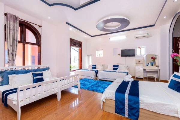 Ảnh Viva VT12 - 38