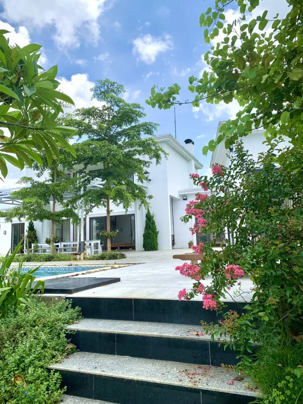 Ảnh Viva HB29 - 18