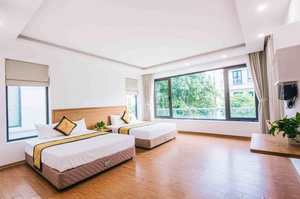 Ảnh Viva SS03 - 19