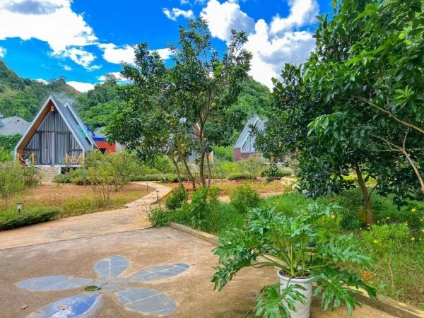 Ảnh Viva Homestay MC 11